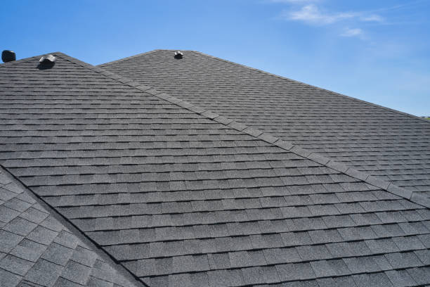 Best Roof Leak Repair  in Elkhorn, WI